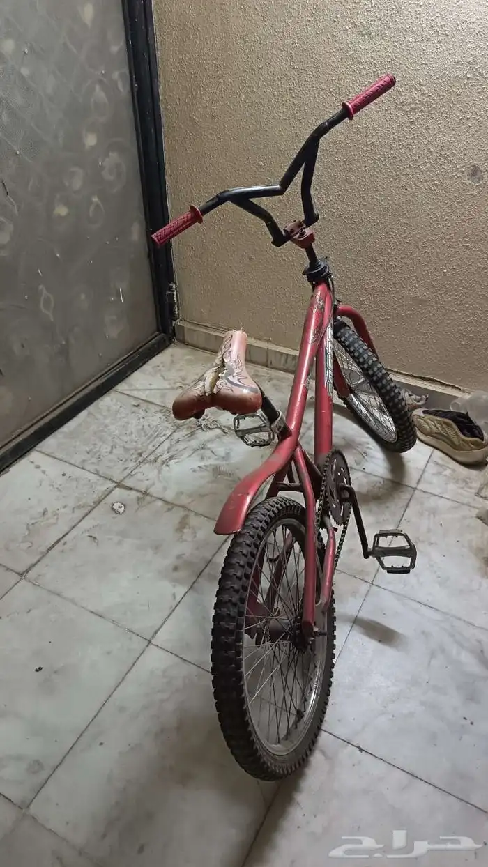 سيكل كوبرا 1