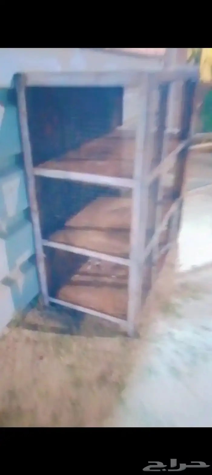 محكر صيصان او حمام 1