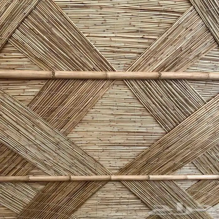 خيزران قش لافريقي 7