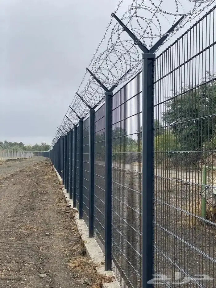 نخل للبيع وتركيب شبوك بانواعها 4