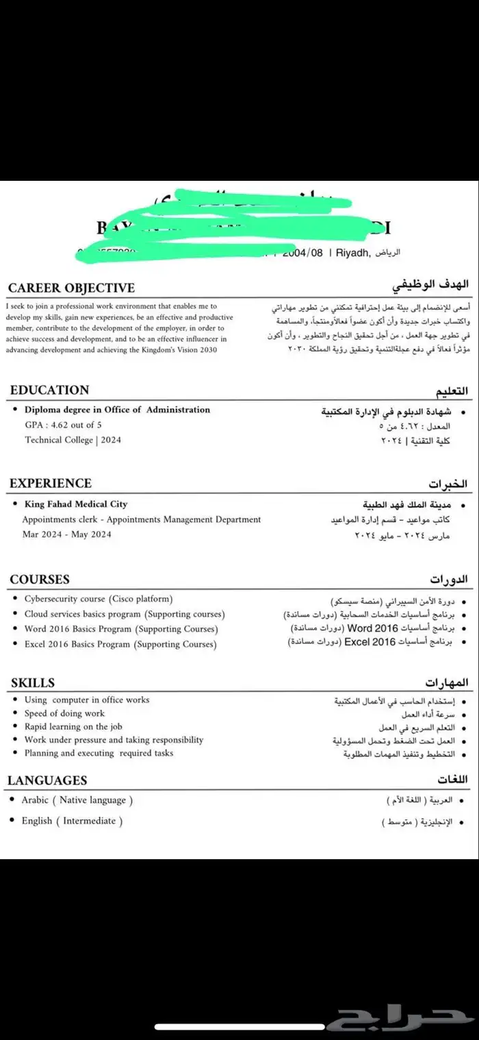 سيرة ذاتية احترافية 1