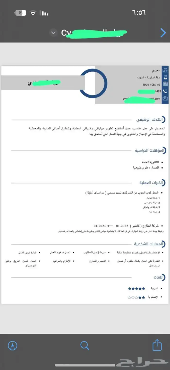 سيرة ذاتية احترافية 8