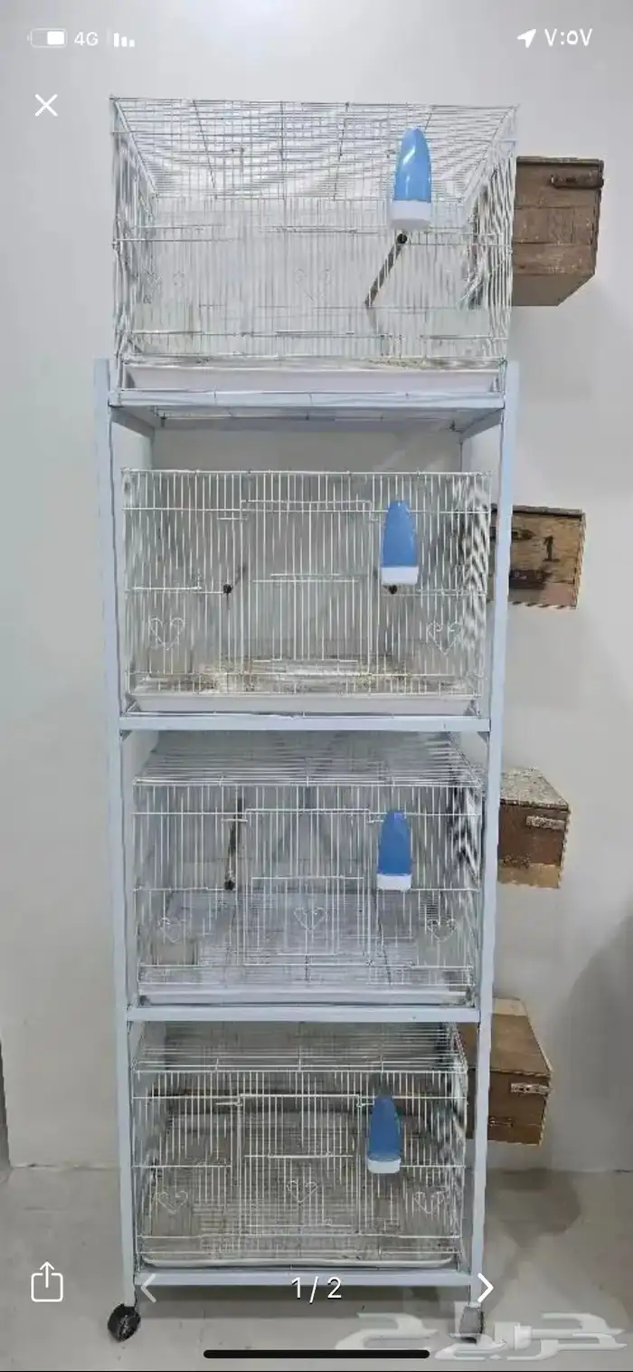 أقفاص 601 مع ستاند 2