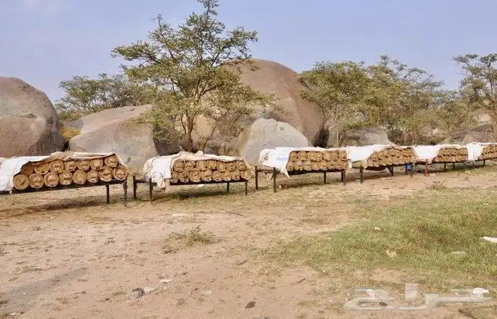 عسل سدره وسمره وطلح وضهيانه وغذاء المكات اصلي ومضمون 8