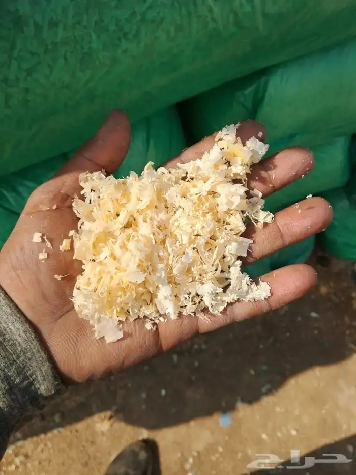 نشارة دواجن عالية الجودة 3