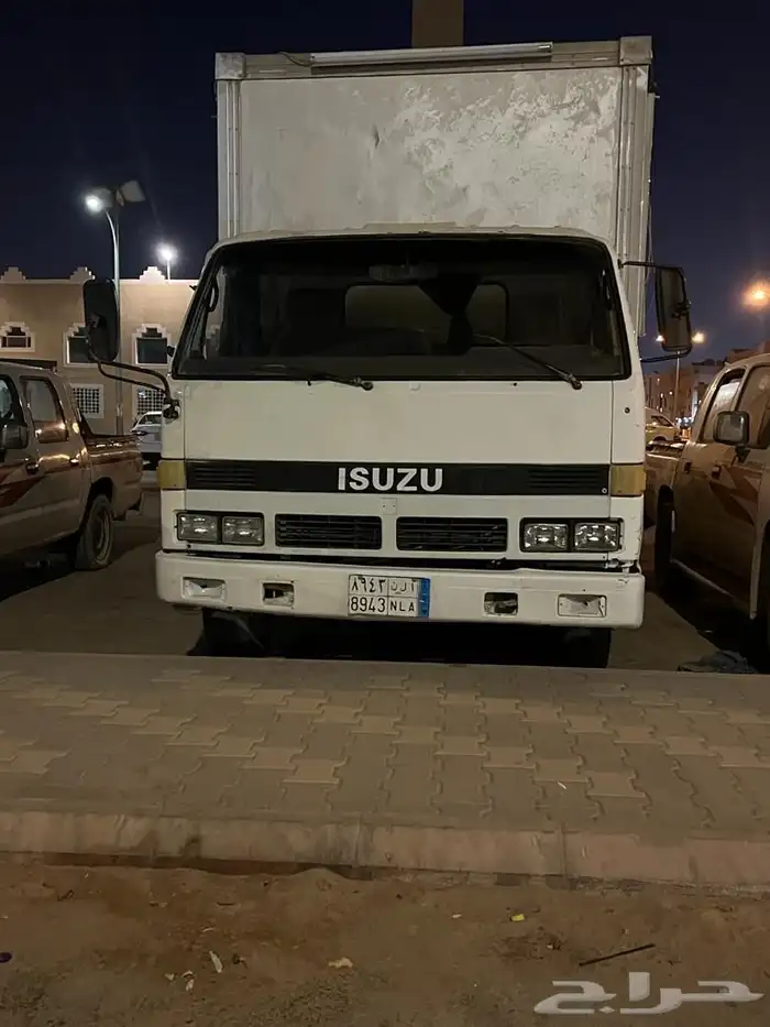 دينا ايسوزو 8