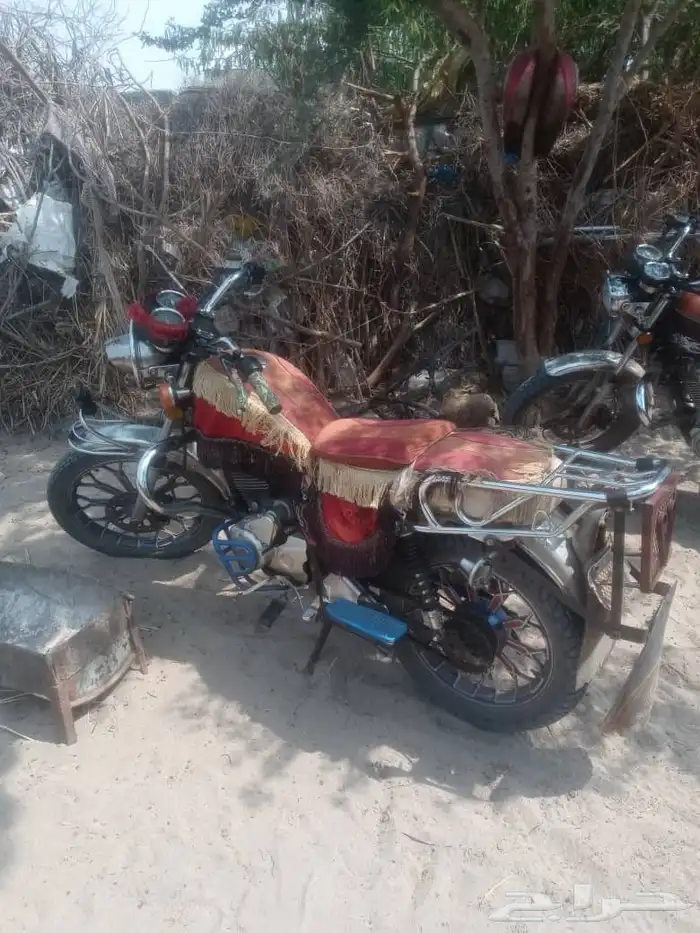 بيع وشراء النخيل 6