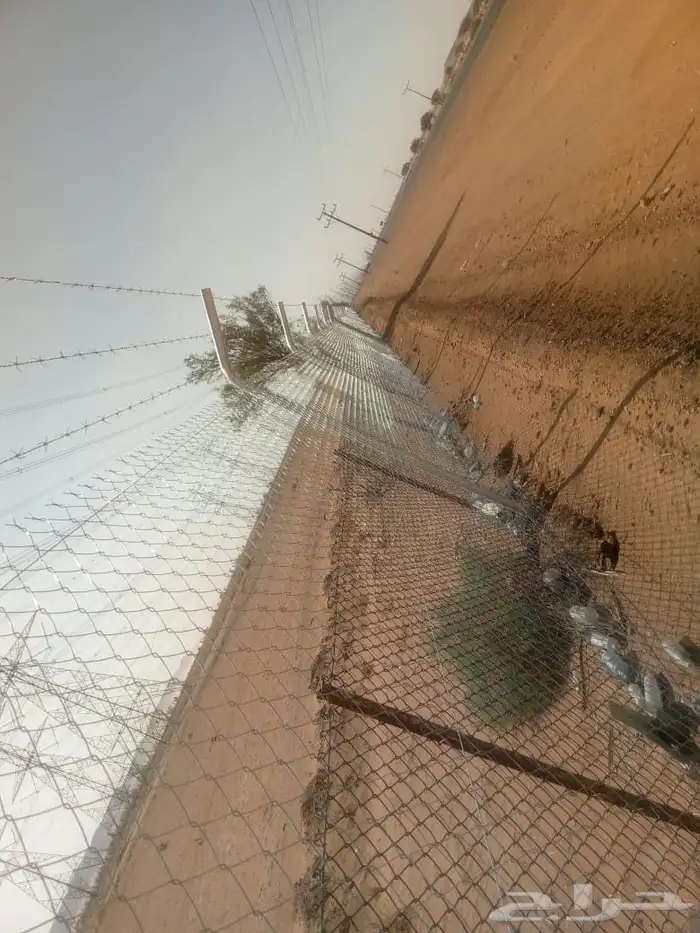 يوجد لدينا توريد جميع انواع شبوك ونخل شينكو 6