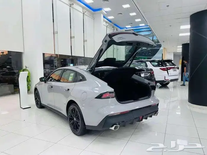 شنجان يو ني في ايليت وسبورت 2026 10