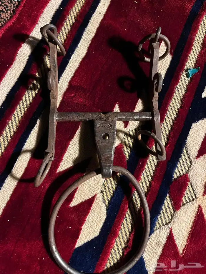 شكيمه ام ركبه محمد فره 0