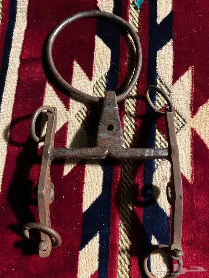 شكيمه ام ركبه محمد فره 2