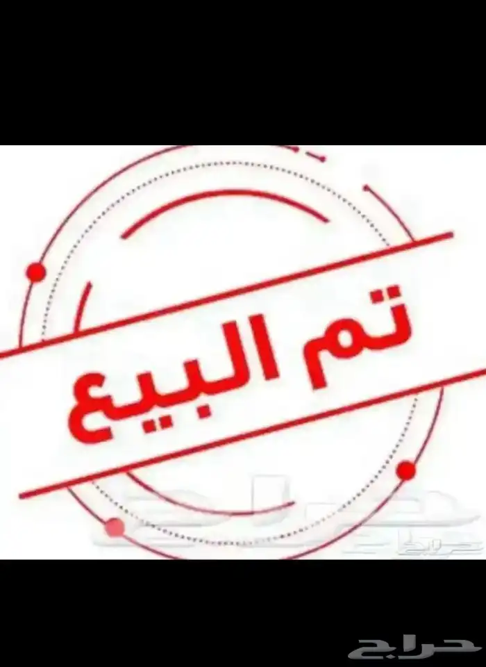 صوص بلدي للبيع 0