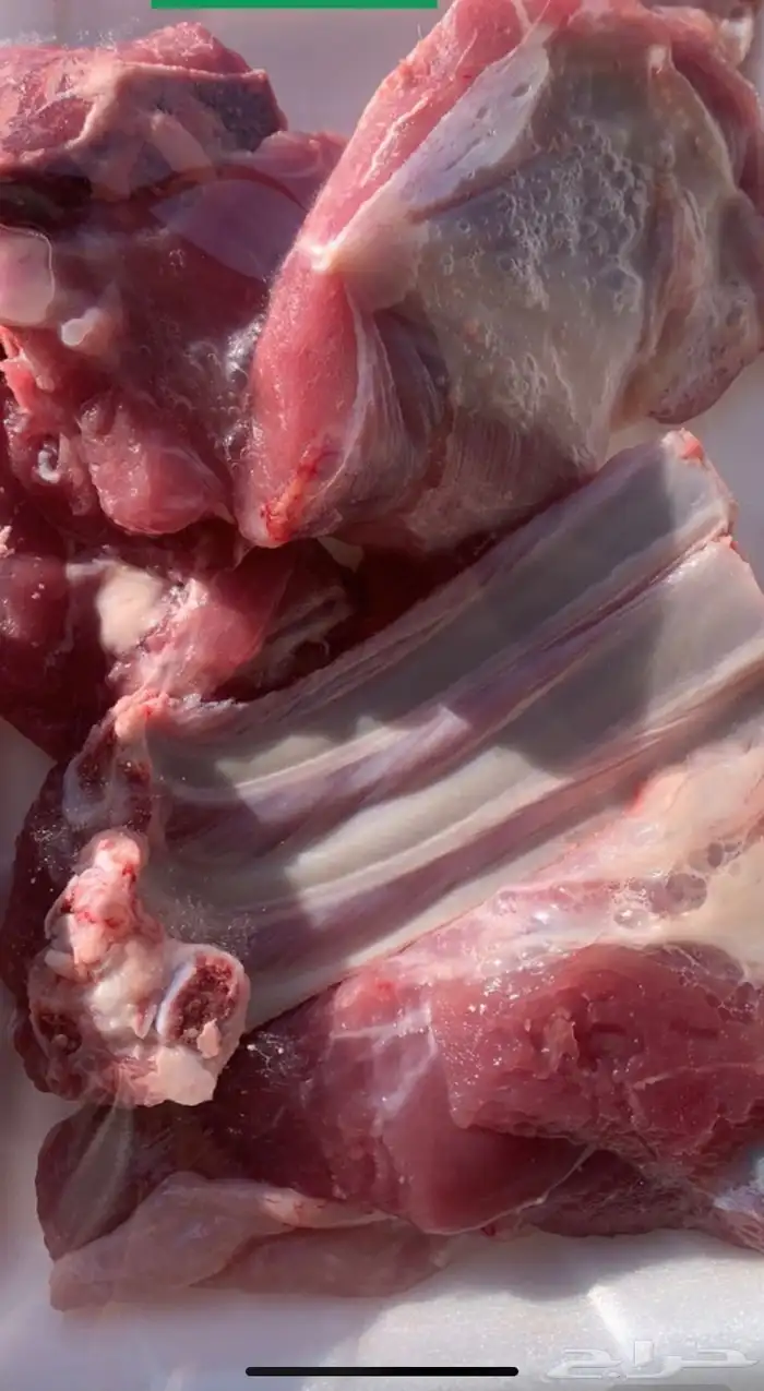 ذبايح الرس 7