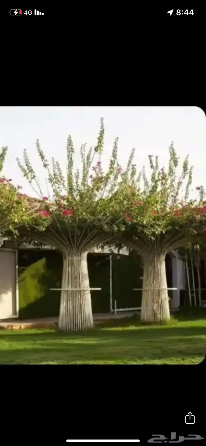 حداد الاحساء ورشة متنقلة 36