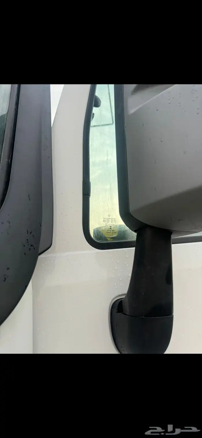 رأس اكتروس سقس جفالي 2019 4