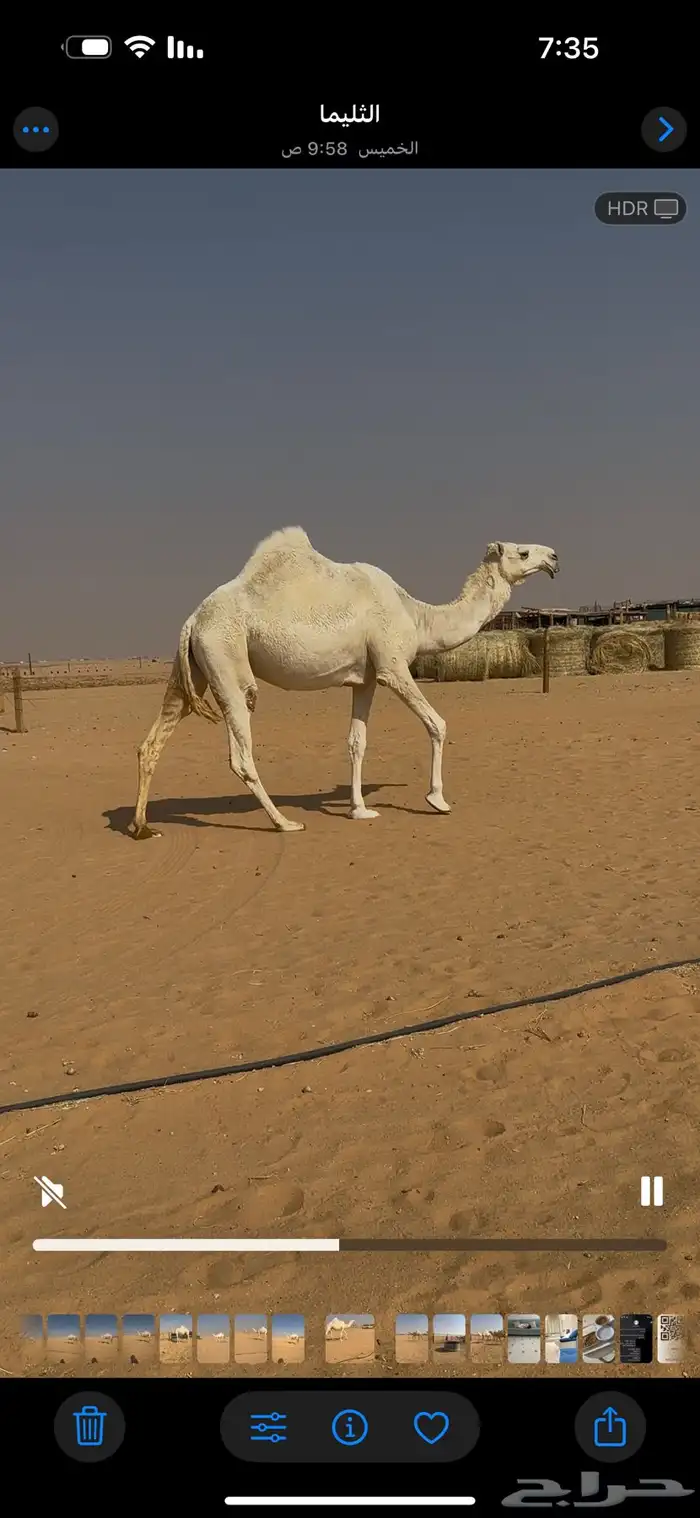 بكره باتليه 0