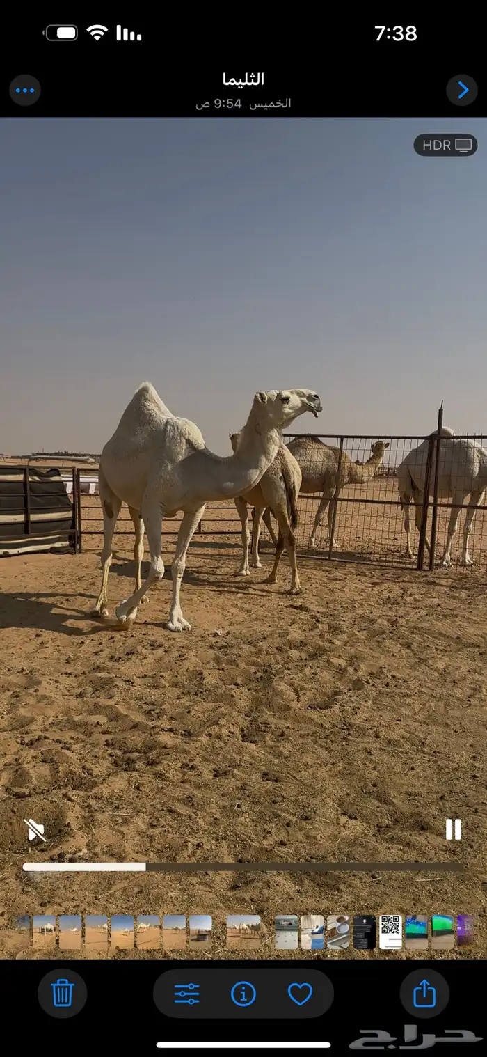 بكره باتليه 2