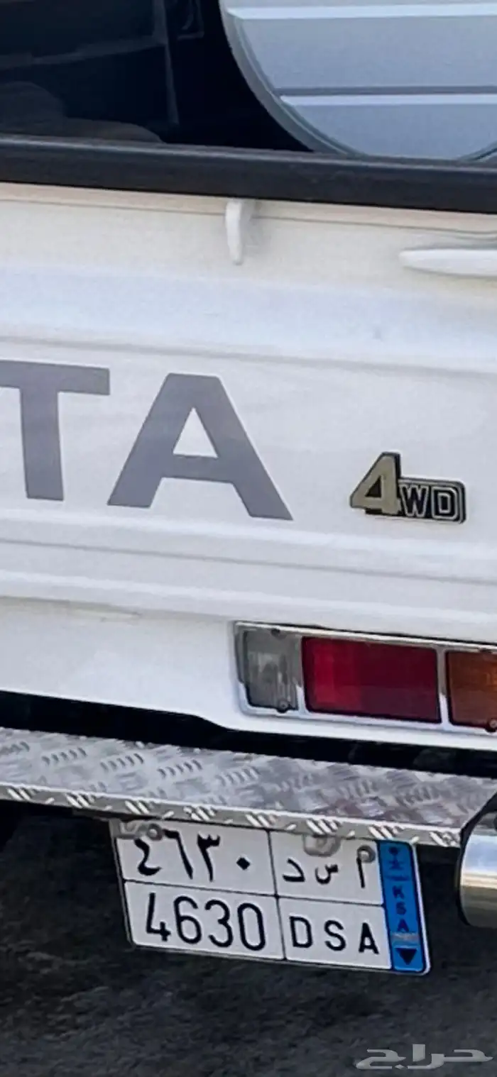 لوحة أسد للبيع 0