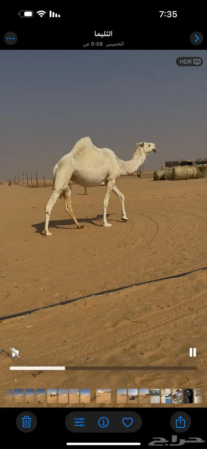 بكره باتليه 3