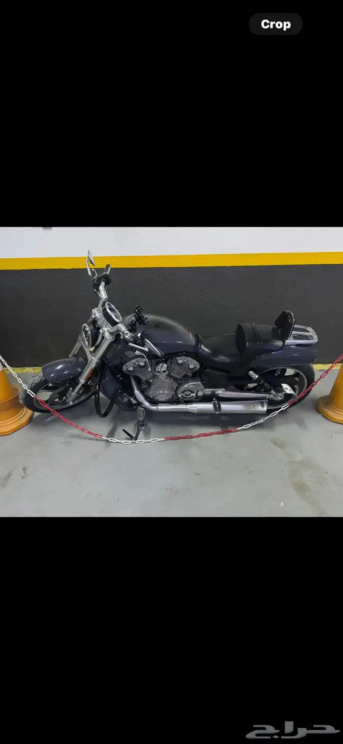 V ROD MUSCLE -2015 1