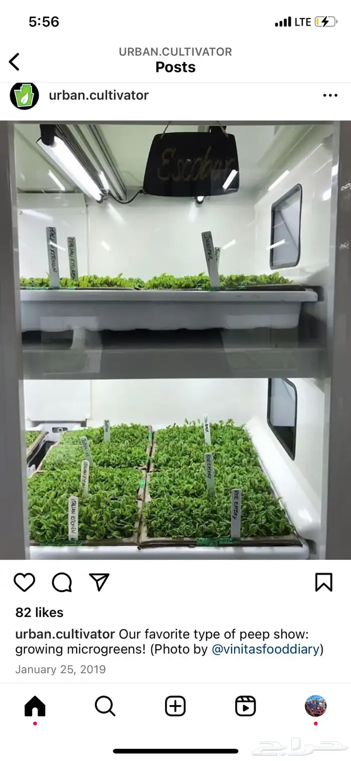 ثلاجات الزراعة العضويه 3