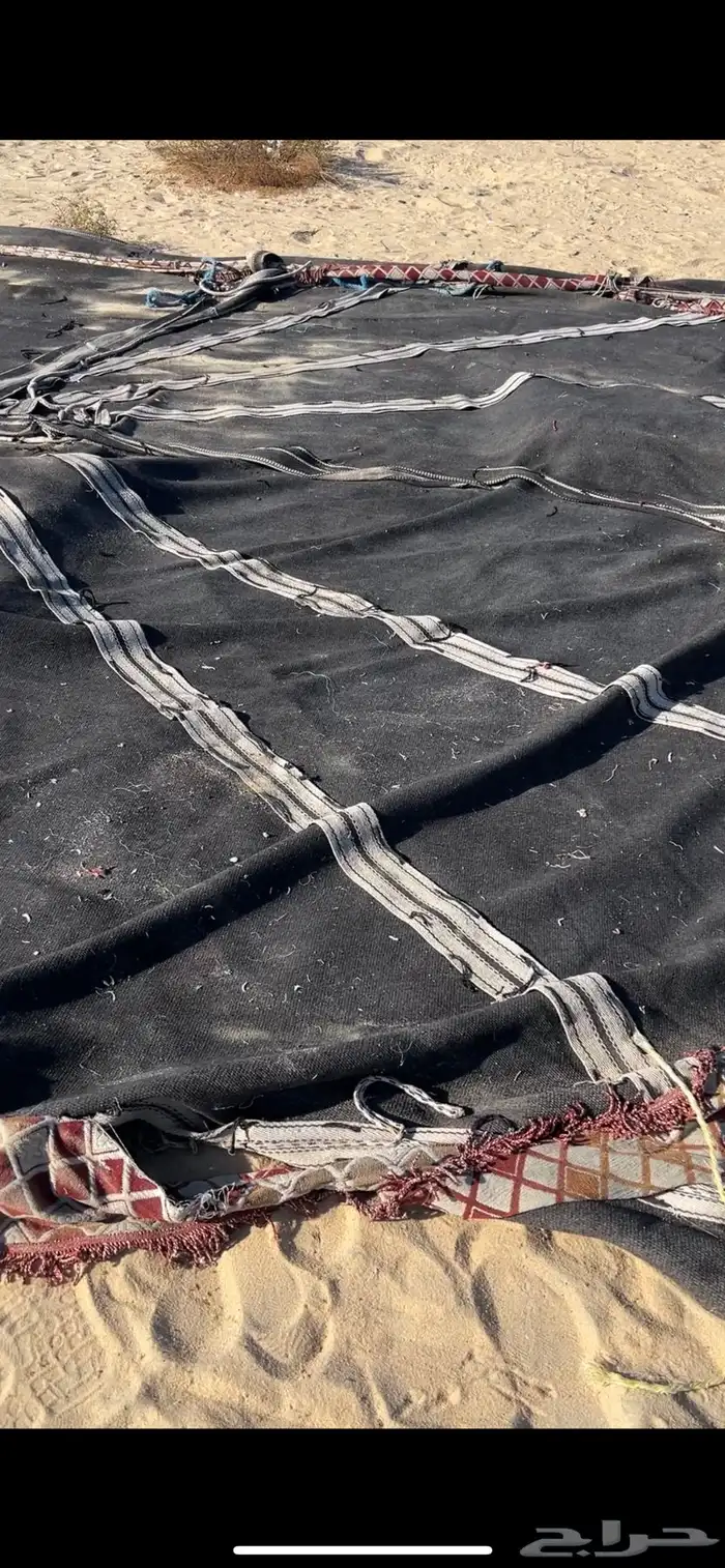 بيت شعر للحلال 0