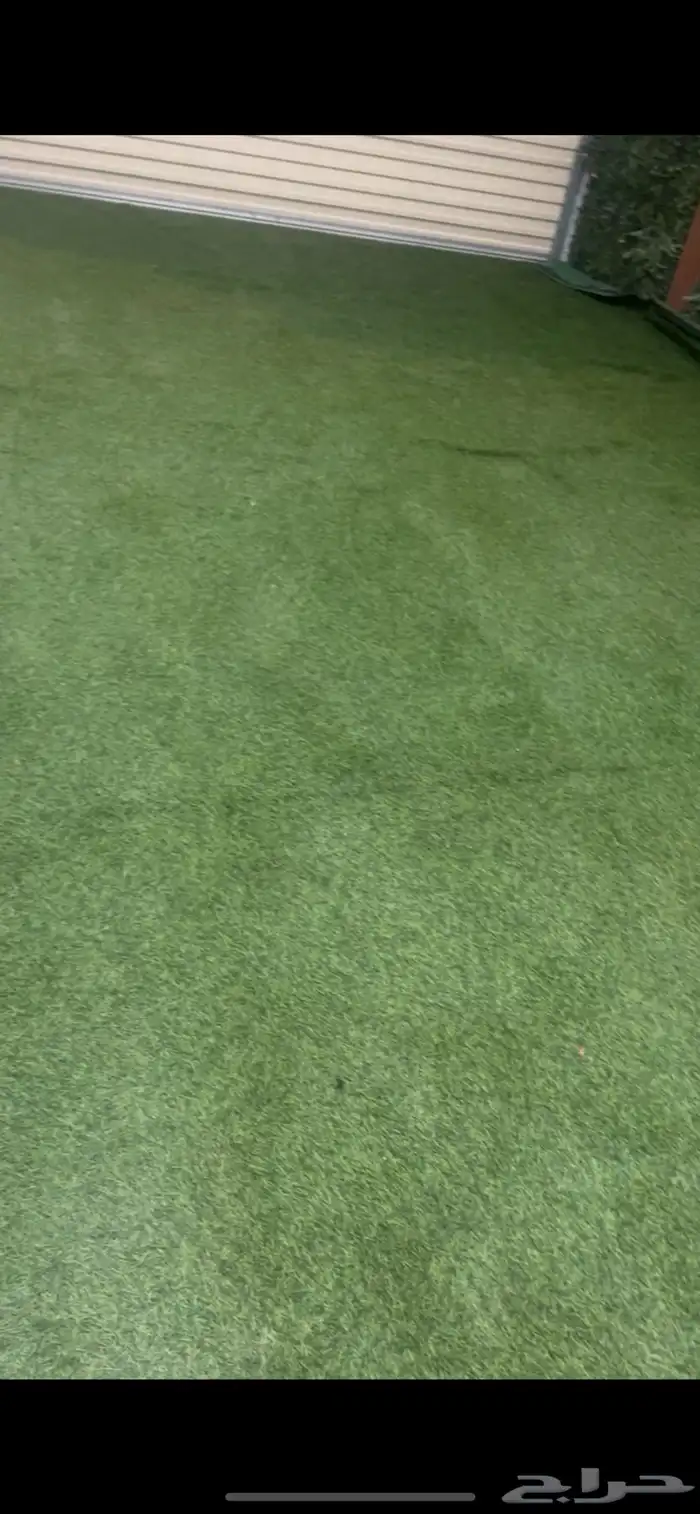 للبيع عشب ارضي مقاس 3 في 6 سعر البيع (300) 0