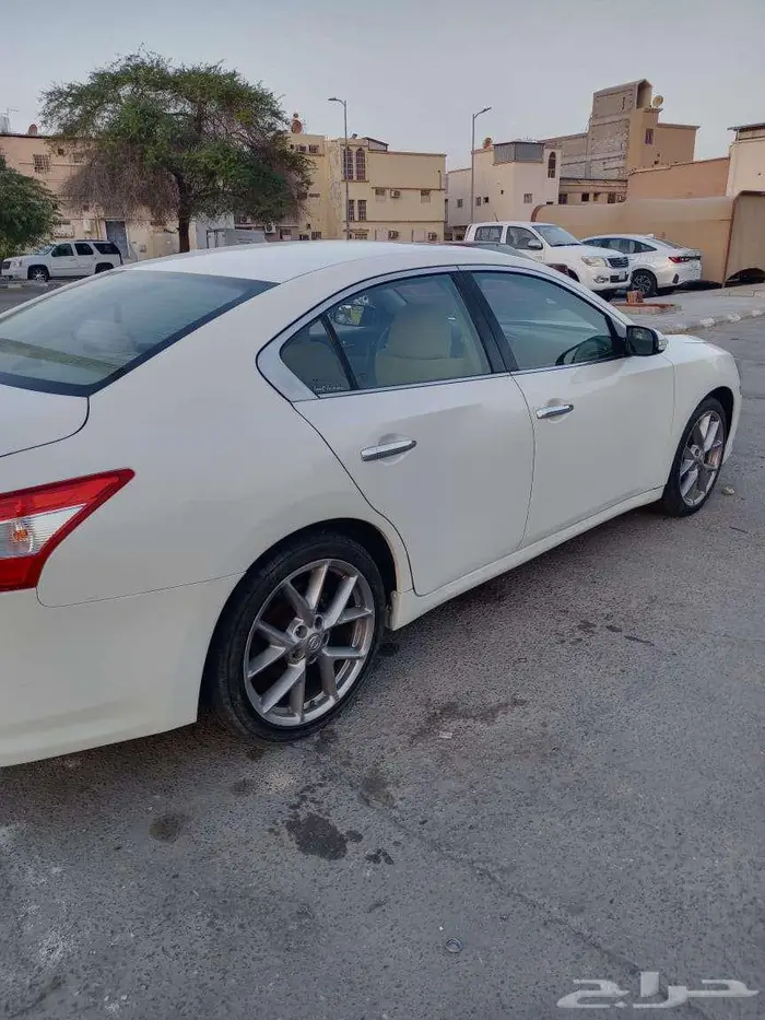 نسيان ماكسيما للبيع 6