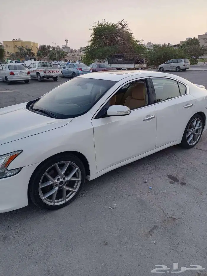 نسيان ماكسيما للبيع 8