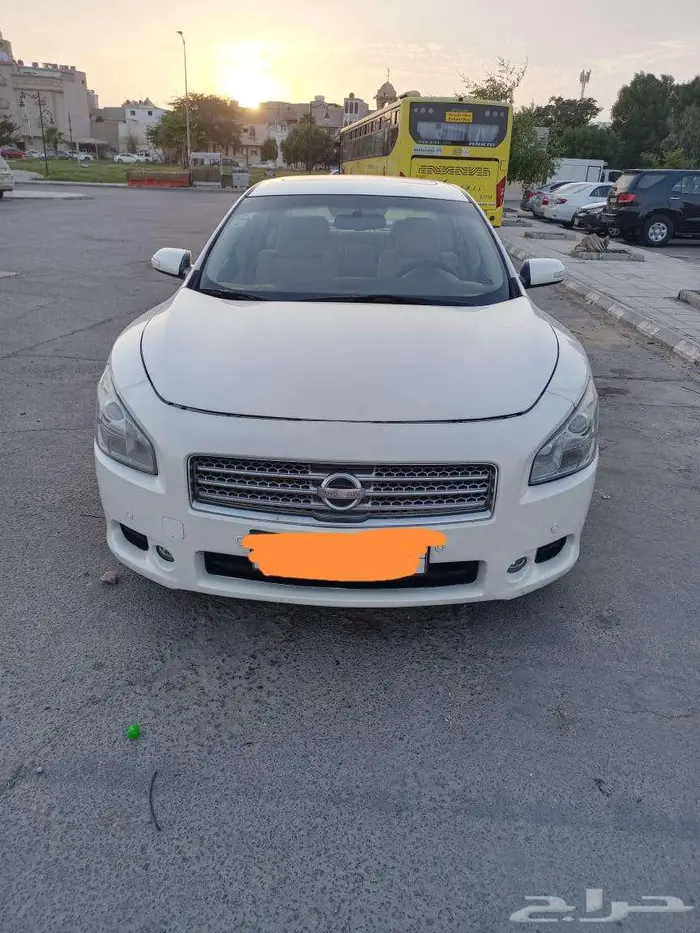 نسيان ماكسيما للبيع 9