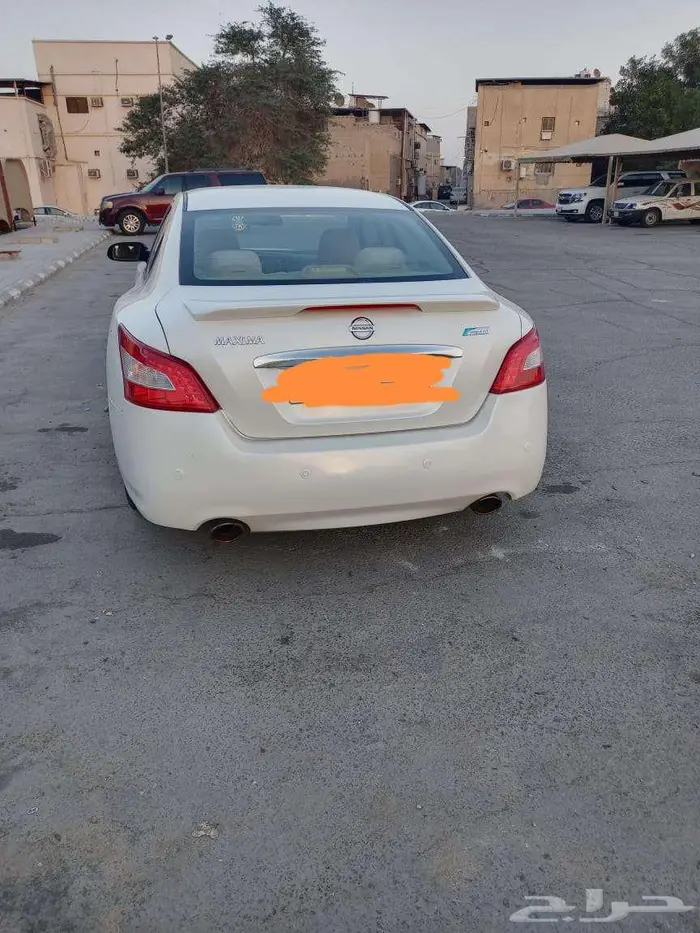 نسيان ماكسيما للبيع 7