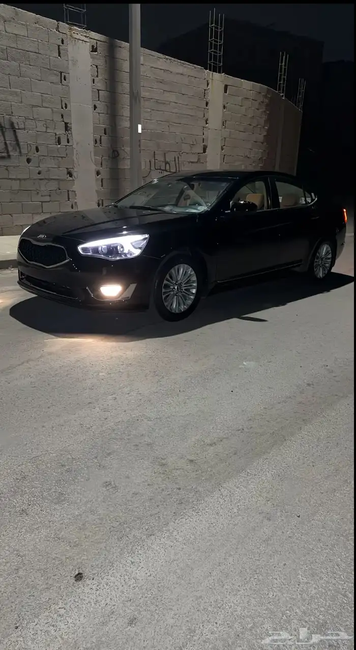 كادينزا 2016 1