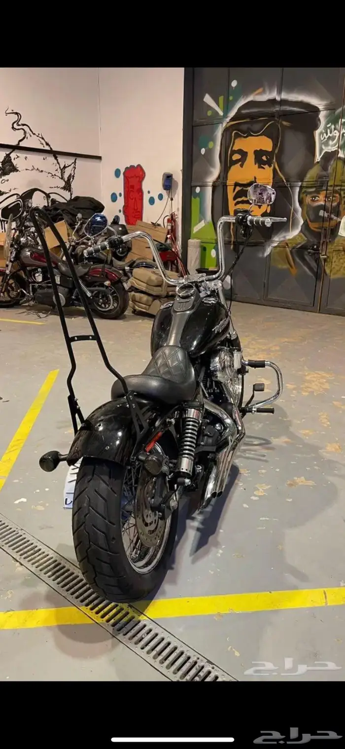 هارلي 2007 1