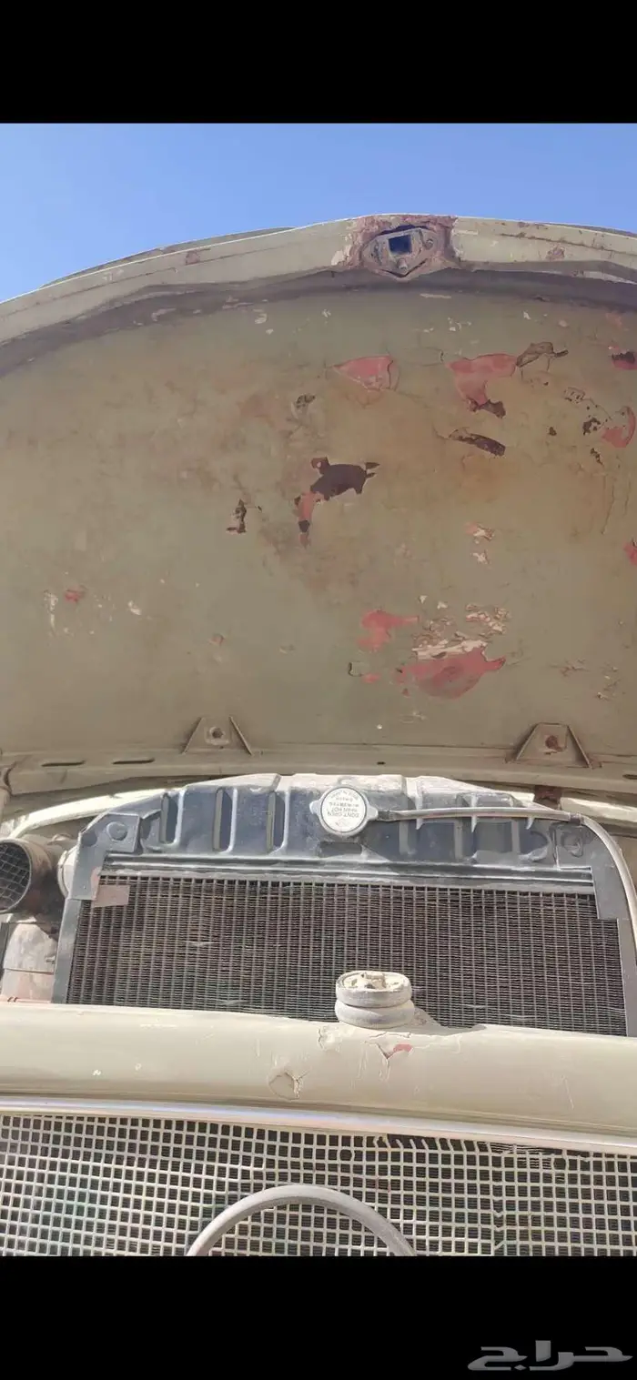 عايدي بوز 24 12