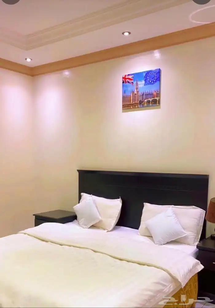 شقة غرفة   غرفة وصالة مؤثثة للايجار الشهري 3