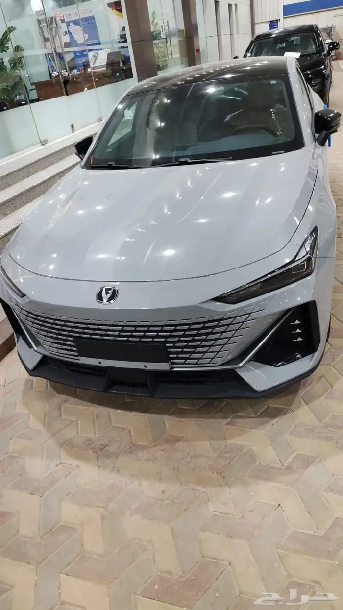 شانجان يونى فى اليت رجعت تانى 2026 وسعر ما يتفوت فعلا 0