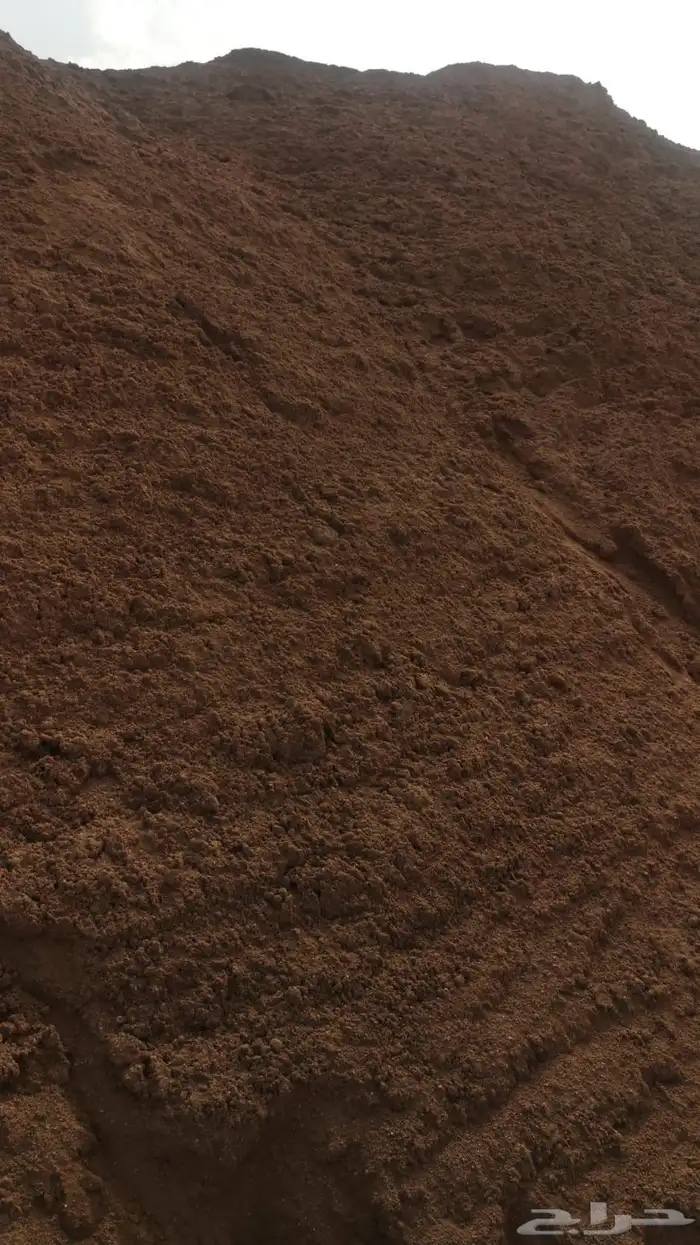 رمل احمر الفريش 4