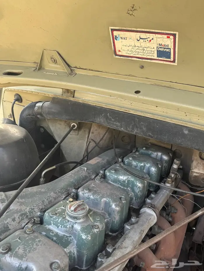 الزين ي هل الزين .. سقس 81 أساسي ( صنف) 4