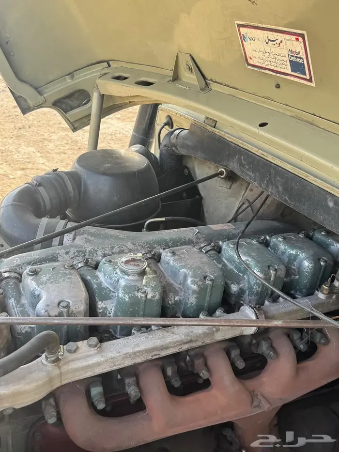 الزين ي هل الزين .. سقس 81 أساسي ( صنف) 5