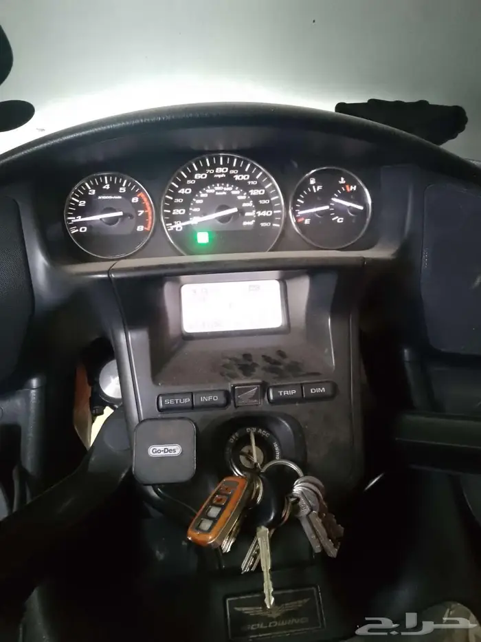 قولدوينقF6B 1