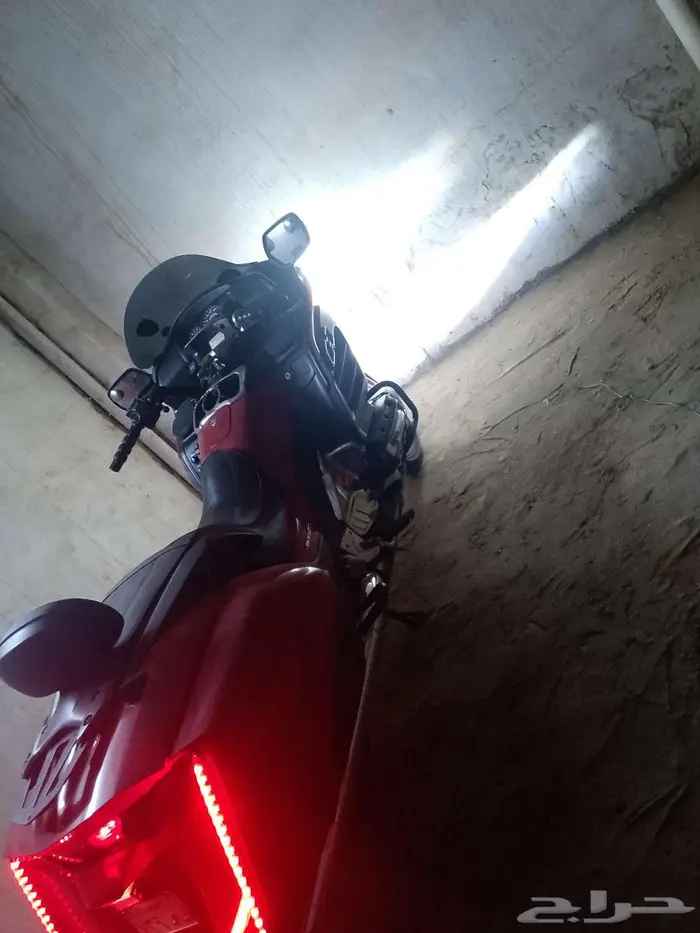 قولدوينقF6B 5