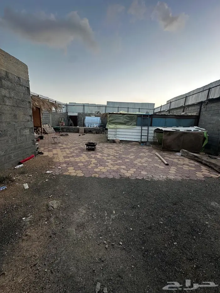 حوش غنم او دجاج 2