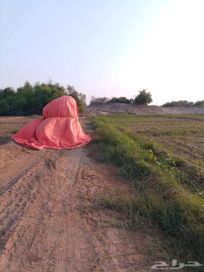 علف للبيع قص جديد 3