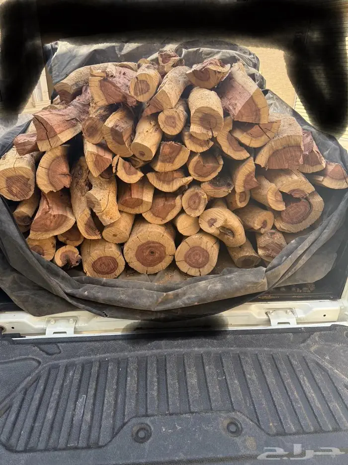 حمية غمارتين حطب للبيع 1