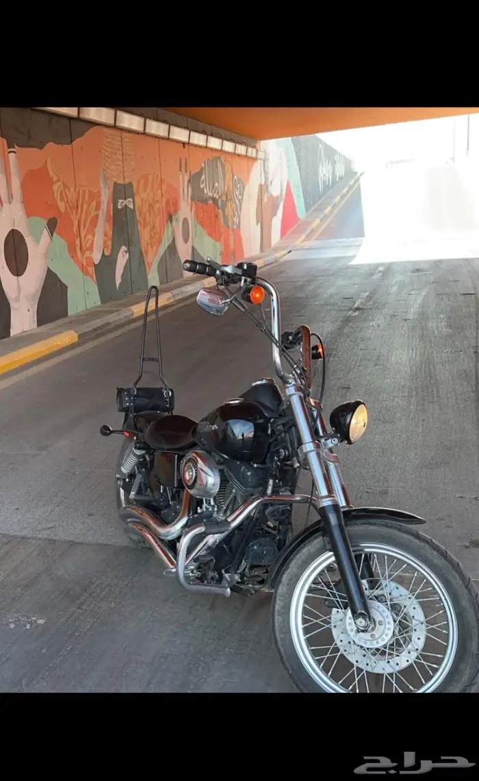 هارلي 2007 3