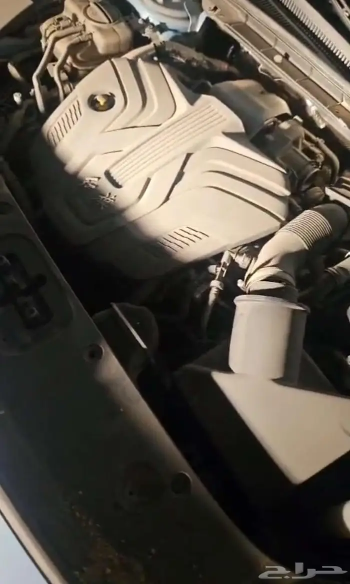 هونشي OUSADO فل 2024 مصدوم 7