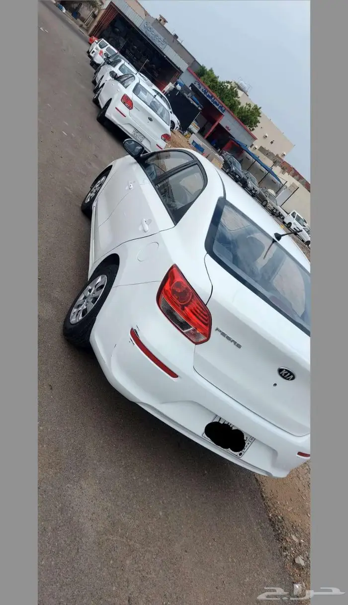 كيا بيجاس الايجار شهري و اسبوعي 2