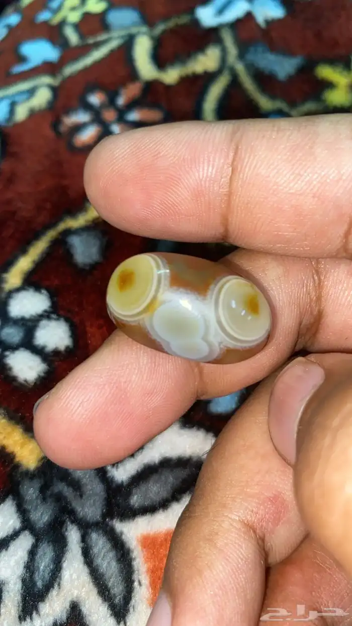 خاتمين من نوادر المصورات 4