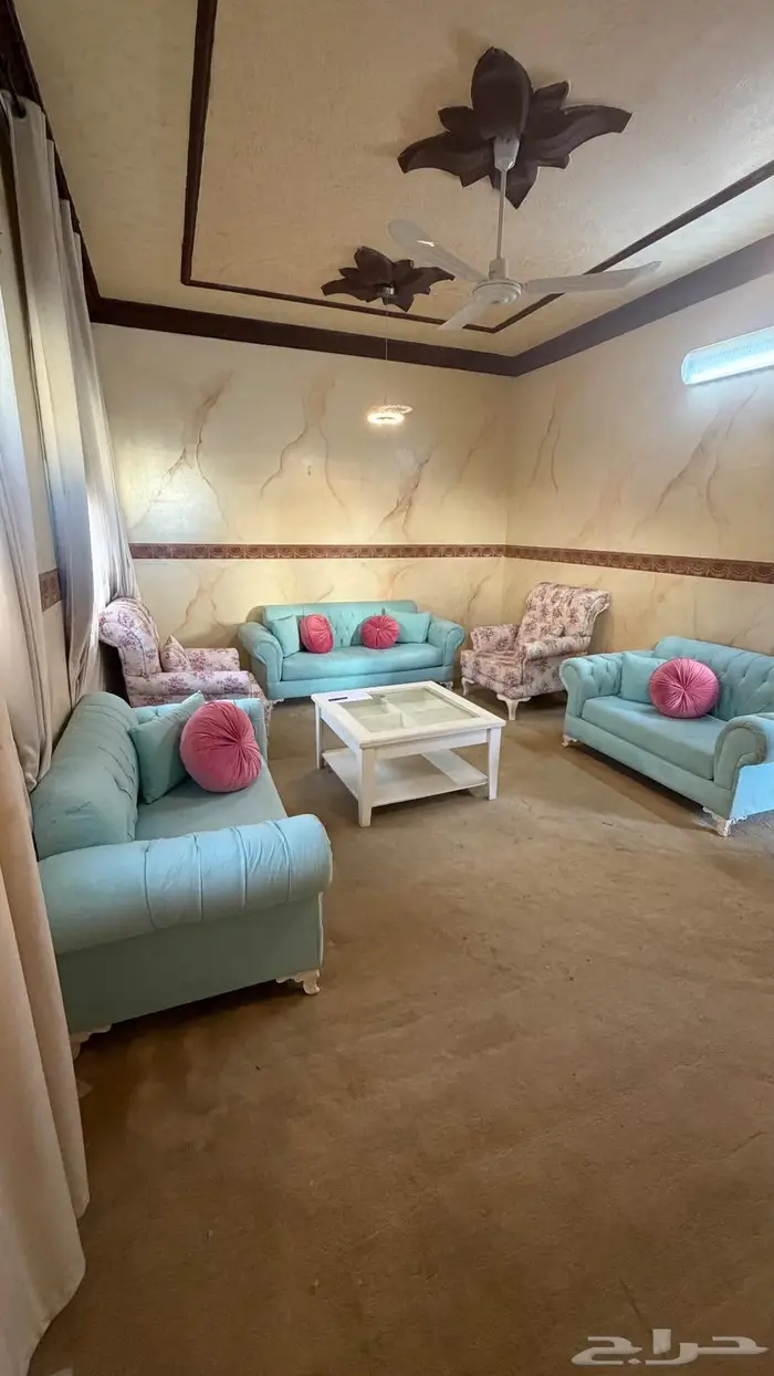 كنب نظيف 13 شخص مع ملحقاته 2