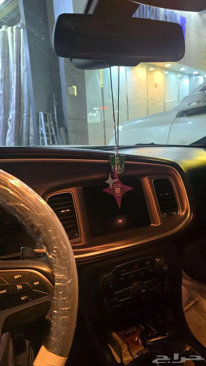 للبيع دوج تشاجر 7